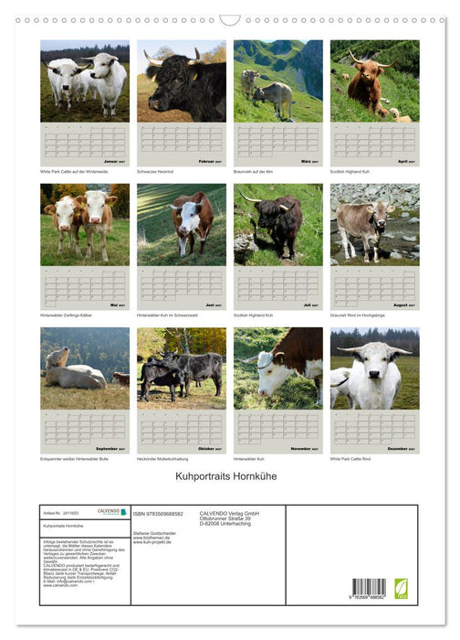 Kuhportraits Hornkühe (CALVENDO Wandkalender 2027)