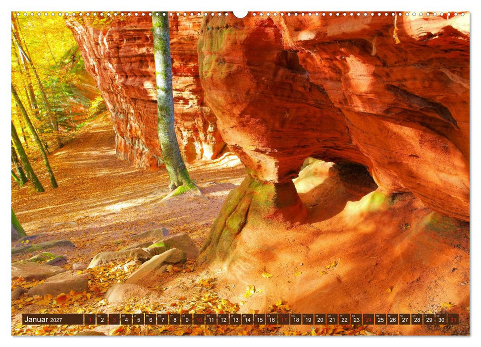 Der Altschlossfelsen - Größte Felsformation der Pfalz im herbstlichen Farbspiel (CALVENDO Premium Wandkalender 2027)