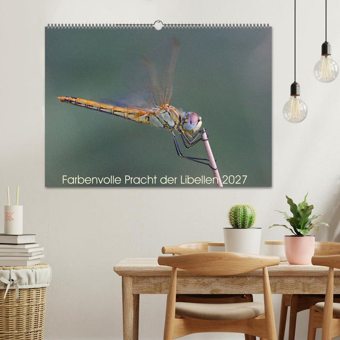 Farbenvolle Pracht der Libellen (CALVENDO Wandkalender 2027)