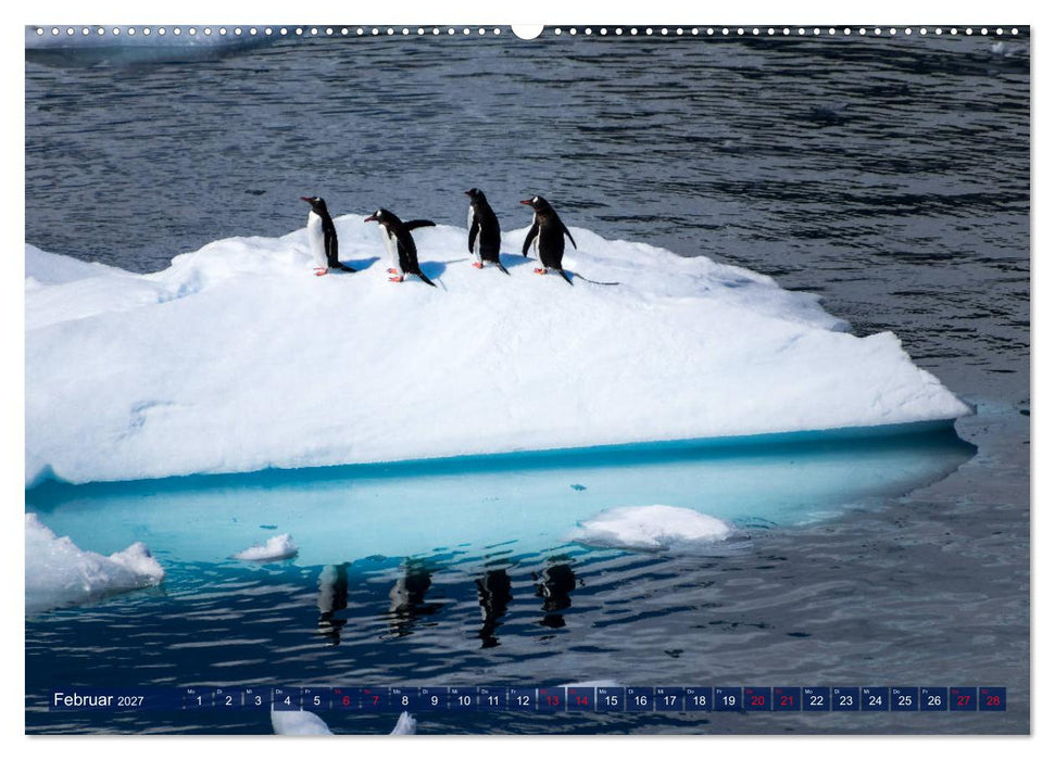 Antarktis Gletscher, Robben, Pinguine (CALVENDO Wandkalender 2027)