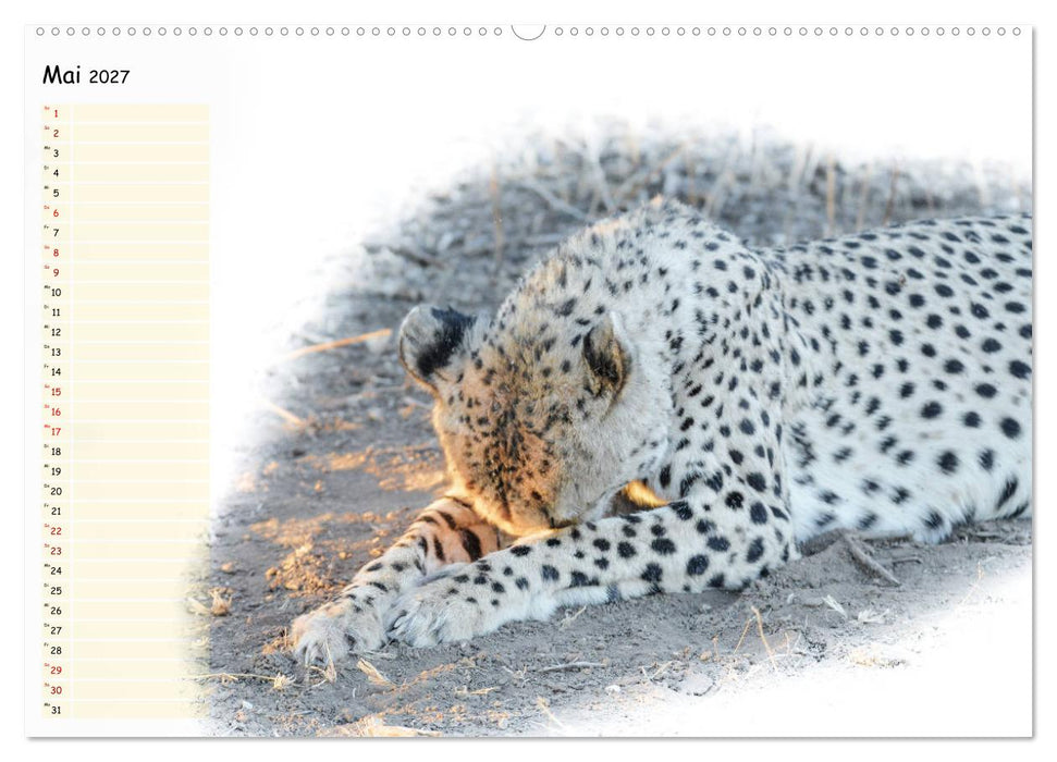 Tierisches Yoga (CALVENDO Wandkalender 2027)