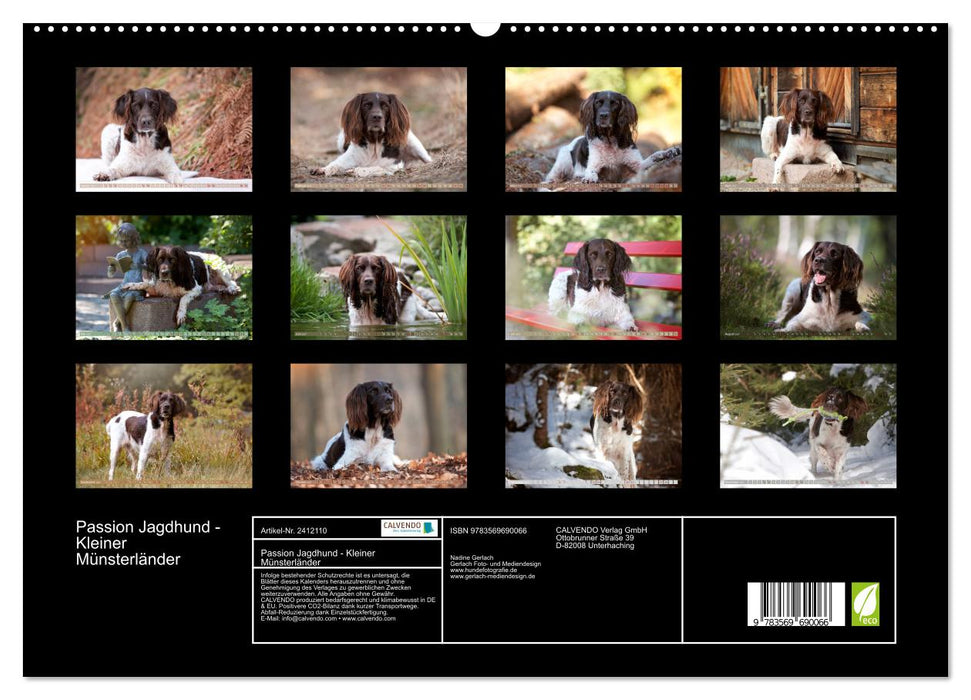 Passion Jagdhund - Kleiner Münsterländer (CALVENDO Premium Wandkalender 2027)