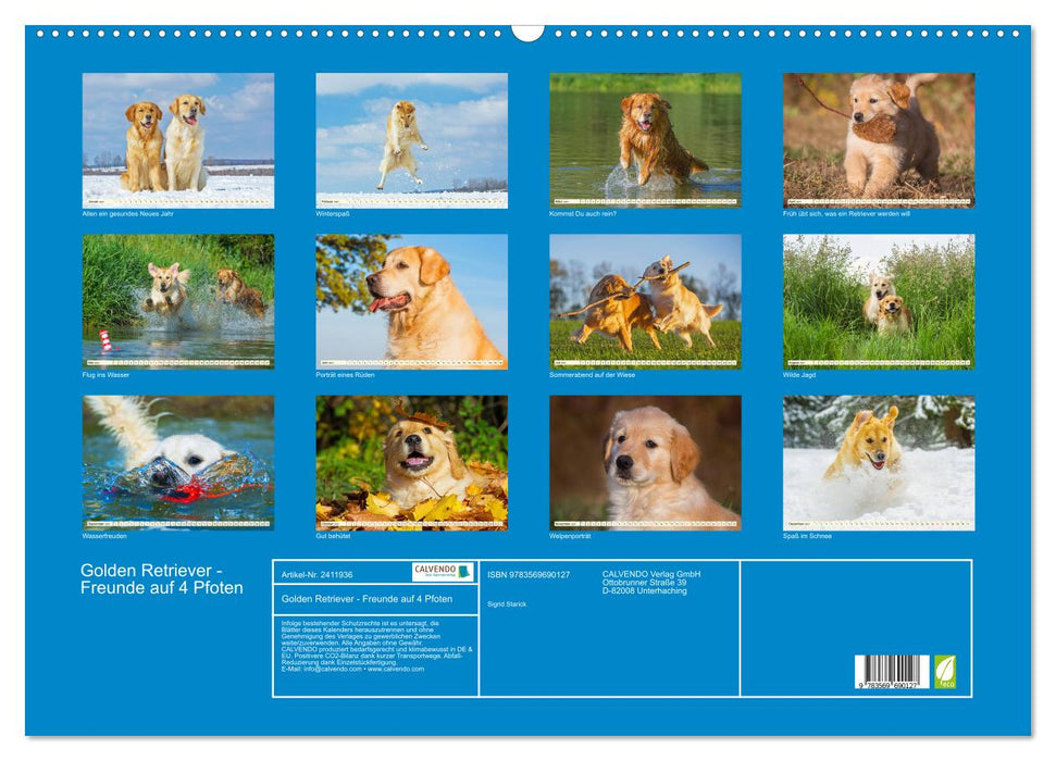 Golden Retriever - Freunde auf 4 Pfoten (CALVENDO Wandkalender 2027)