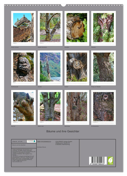 Bäume und ihre Gesichter (CALVENDO Premium Wandkalender 2027)