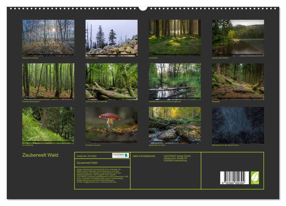 Zauberwelt Wald (CALVENDO Premium Wandkalender 2027)