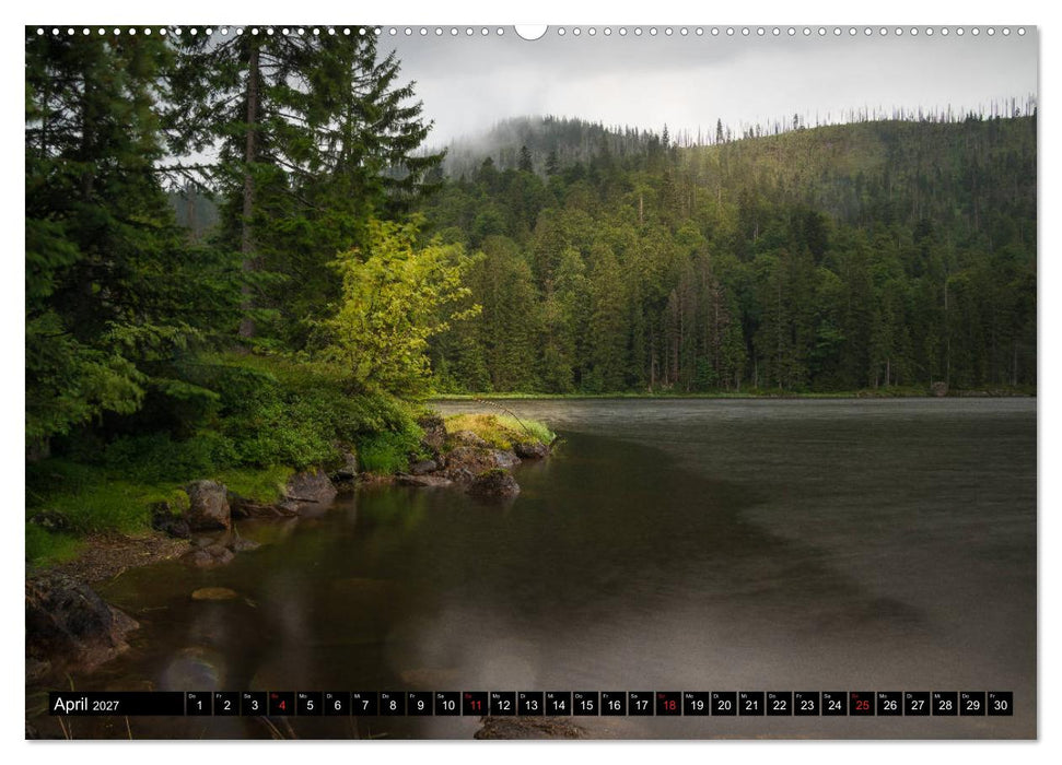 Zauberwelt Wald (CALVENDO Premium Wandkalender 2027)