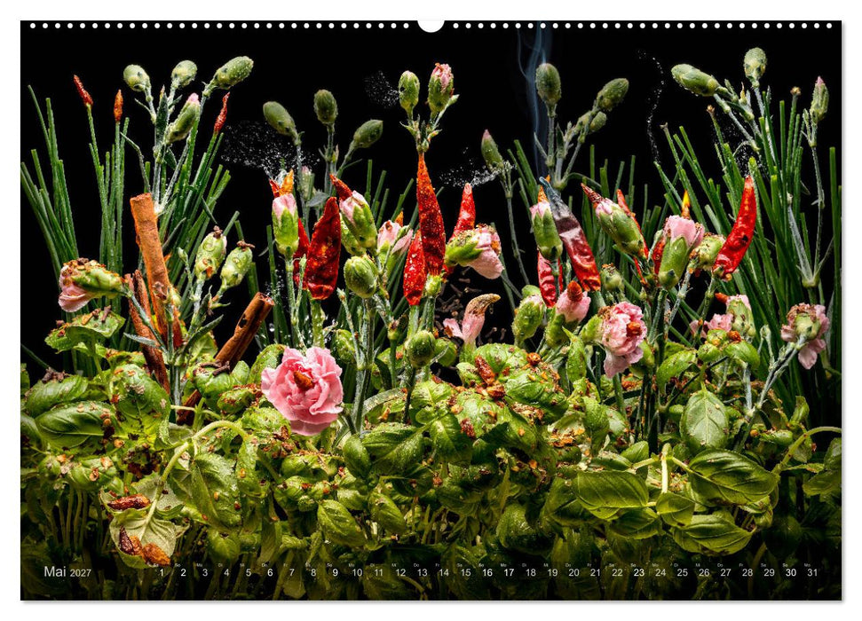 Flora miracula - Die wundersame Welt des Fotografen Olaf Bruhn (CALVENDO Wandkalender 2027)