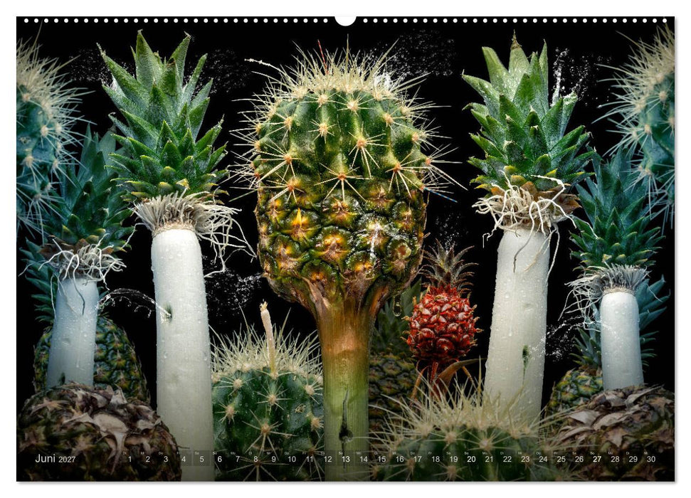 Flora miracula - Die wundersame Welt des Fotografen Olaf Bruhn (CALVENDO Wandkalender 2027)