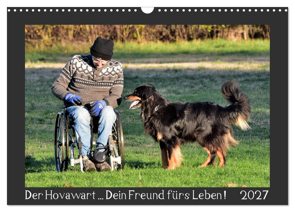 Der Hovawart... Dein Freund fürs Leben! (CALVENDO Wandkalender 2027)