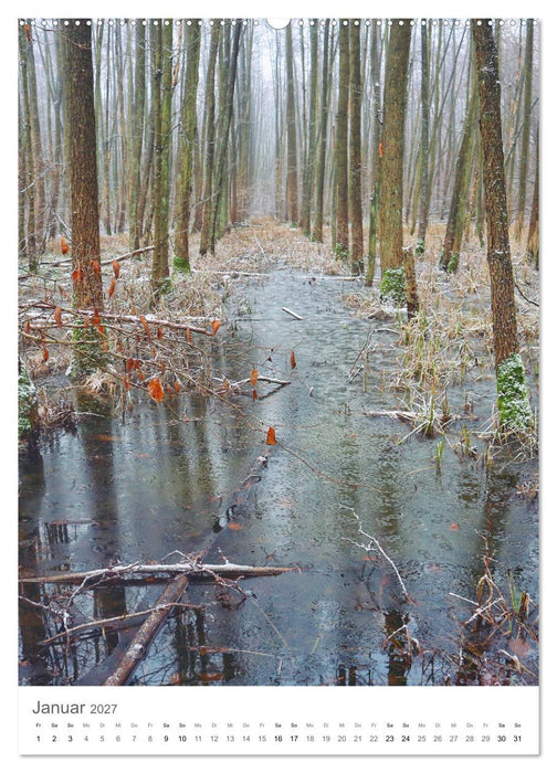 Wald - bezaubernde Landschaften (CALVENDO Wandkalender 2027)