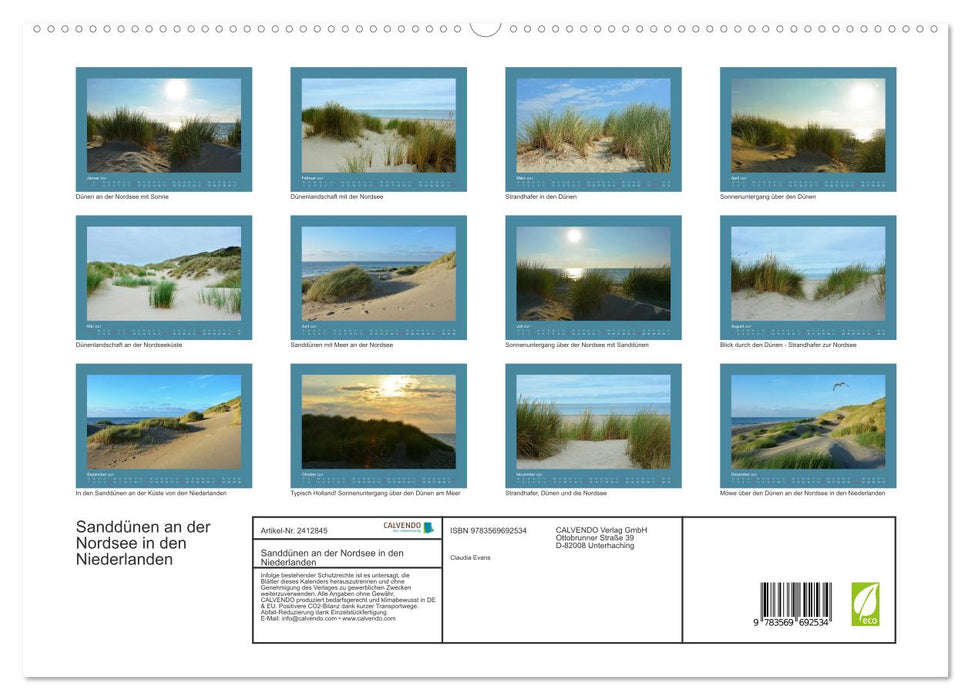 Sanddünen an der Nordsee in den Niederlanden (CALVENDO Premium Wandkalender 2027)