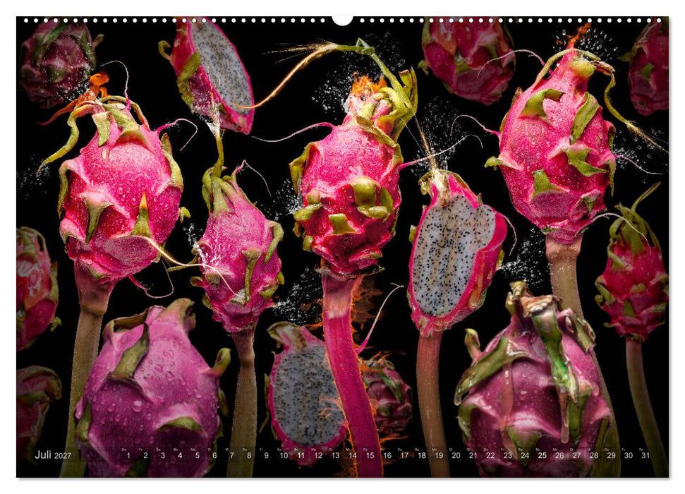 Flora miracula - Die wundersame Welt des Fotografen Olaf Bruhn (CALVENDO Premium Wandkalender 2027)