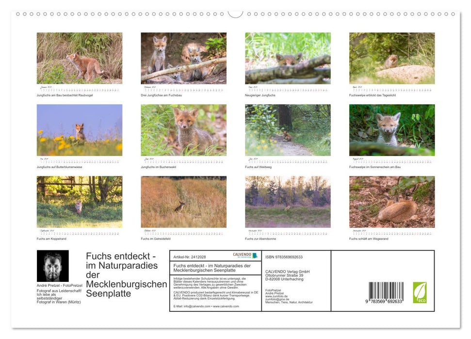 Fuchs entdeckt - im Naturparadies der Mecklenburgischen Seenplatte (CALVENDO Premium Wandkalender 2027)