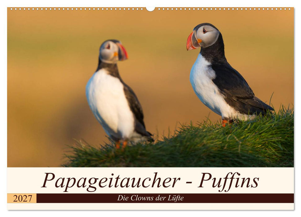 Papageitaucher - Puffins (CALVENDO Wandkalender 2027)
