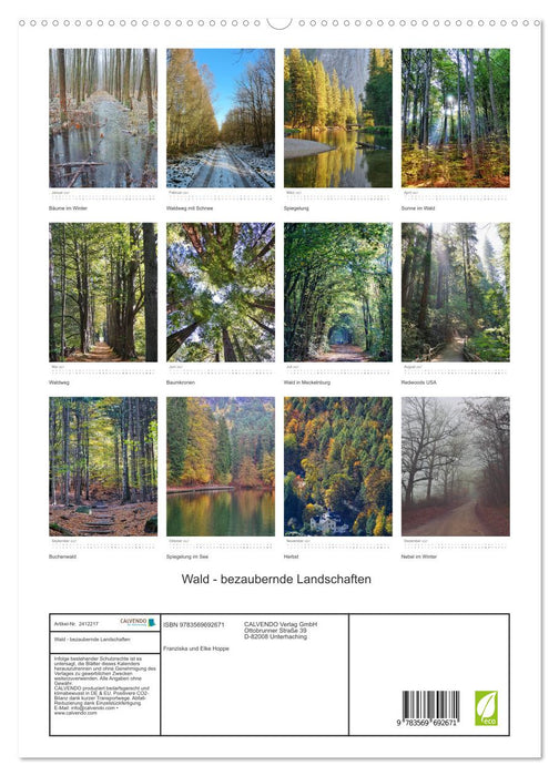 Wald - bezaubernde Landschaften (CALVENDO Premium Wandkalender 2027)