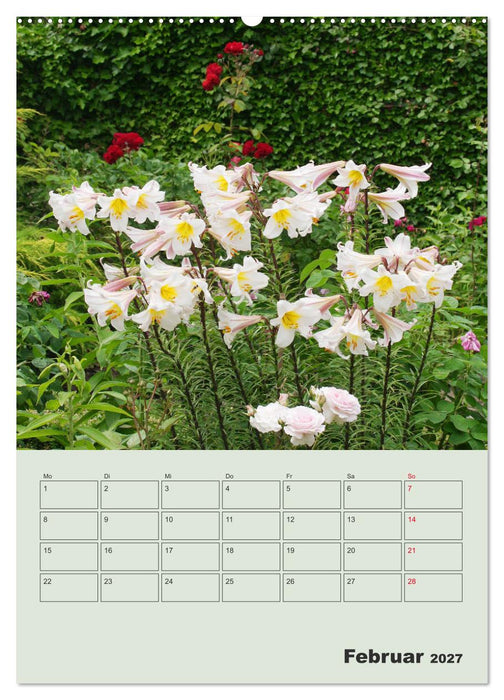 Lilien im Garten (CALVENDO Premium Wandkalender 2027)