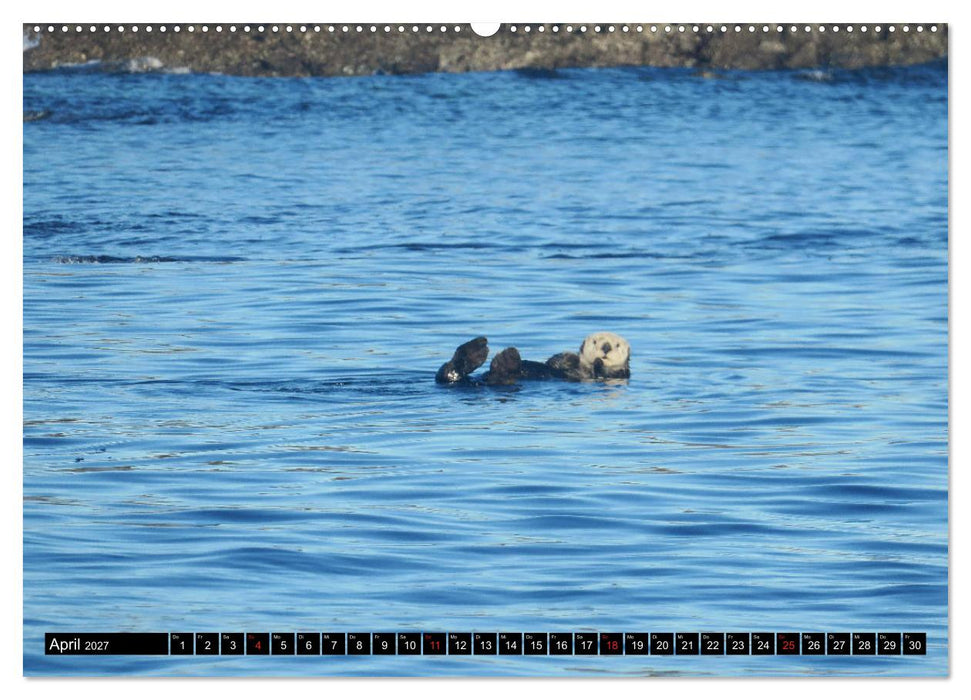 Vancouver - Vancouver Island - Seattle (CALVENDO Wandkalender 2027)