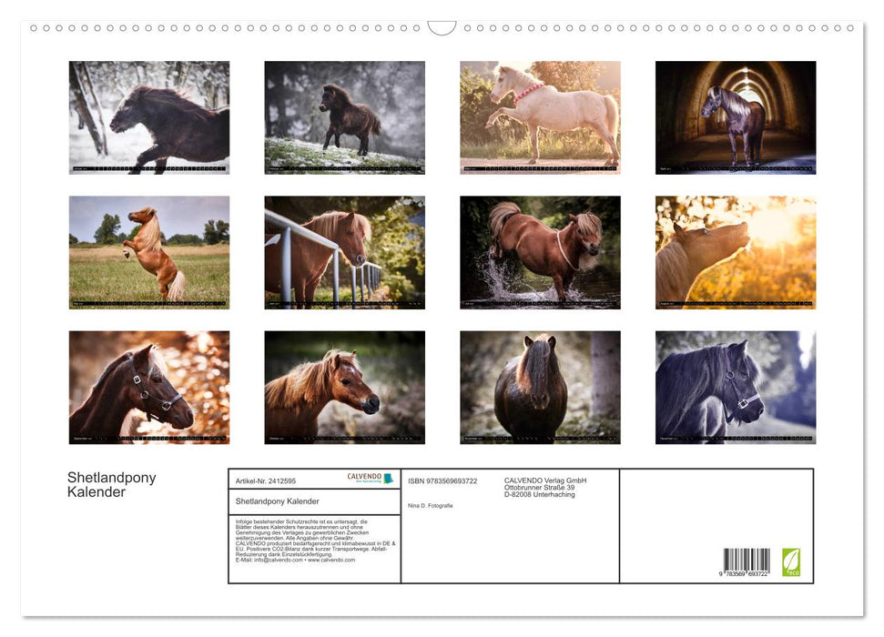 Shetlandpony Kalender (CALVENDO Wandkalender 2027)