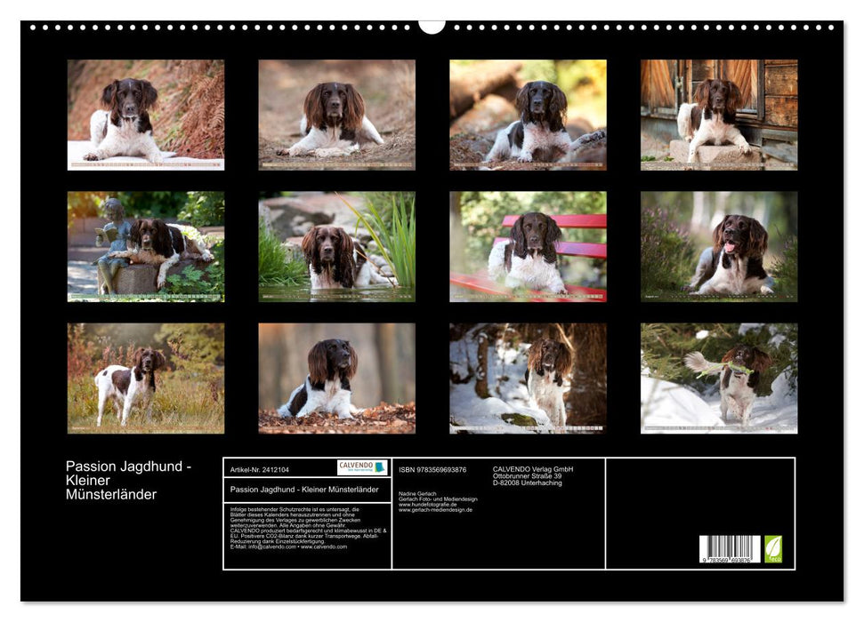 Passion Jagdhund - Kleiner Münsterländer (CALVENDO Wandkalender 2027)