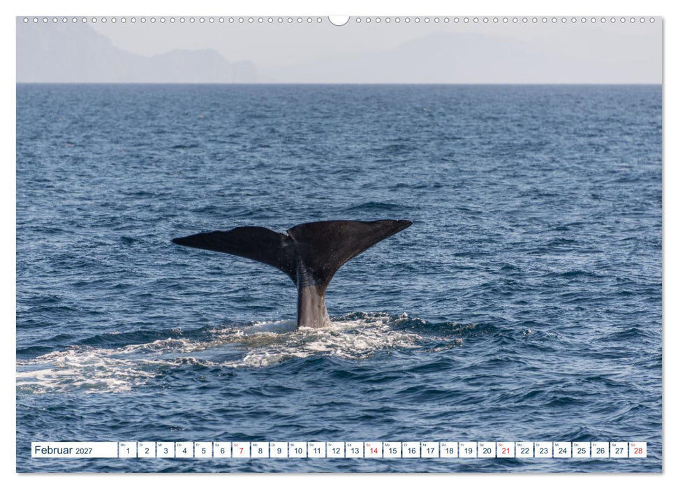 Lofoten Vesterålen (CALVENDO Wandkalender 2027)