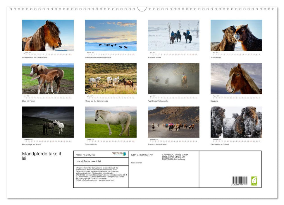 Islandpferde take it Isi (CALVENDO Wandkalender 2027)