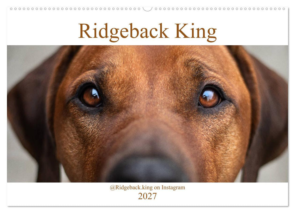 Ridgeback King (CALVENDO Wandkalender 2027)