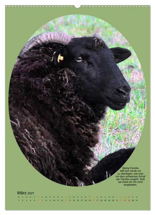 Scharfe Portraits (CALVENDO Premium Wandkalender 2027)