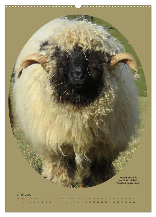 Scharfe Portraits (CALVENDO Premium Wandkalender 2027)