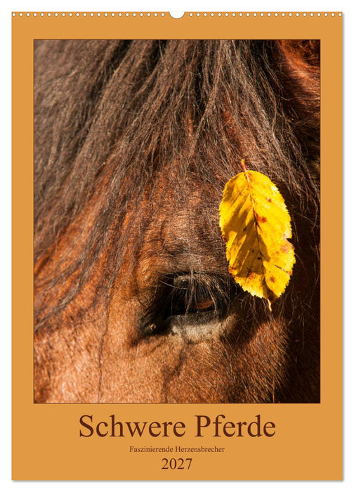 Schwere Pferde - Faszinierende Herzensbrecher (CALVENDO Wandkalender 2027)