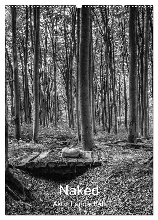 Naked: Akt + Landschaft (CALVENDO Wandkalender 2027)