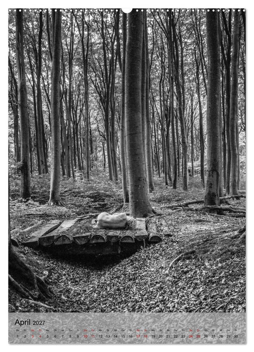 Naked: Akt + Landschaft (CALVENDO Wandkalender 2027)