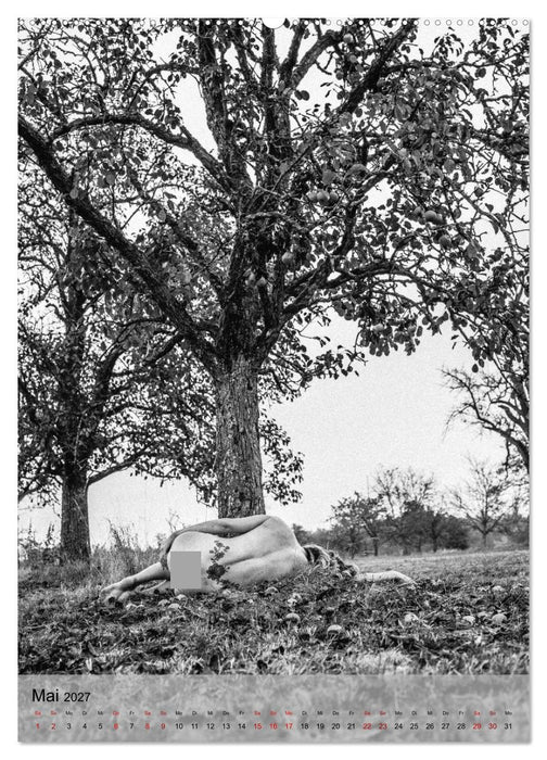 Naked: Akt + Landschaft (CALVENDO Wandkalender 2027)
