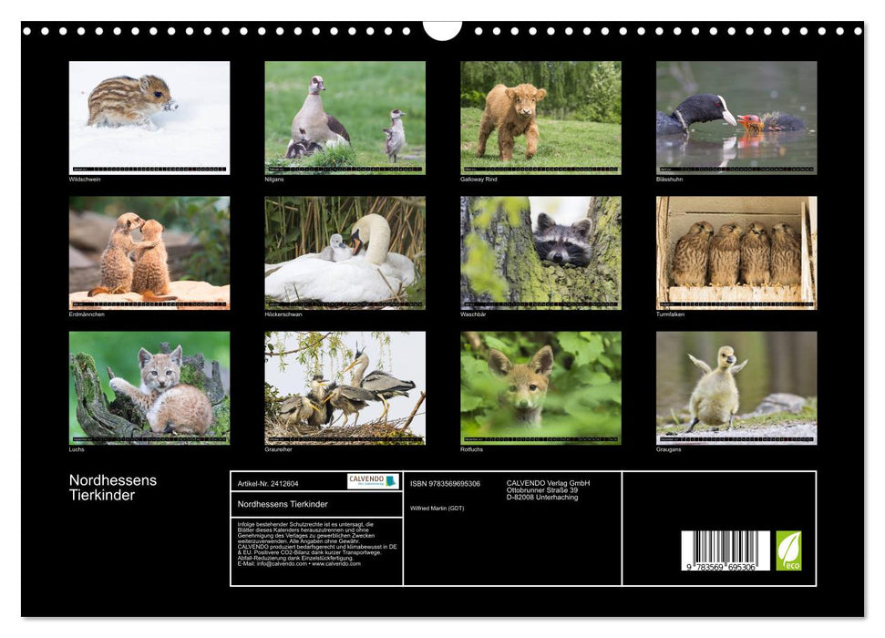 Nordhessens Tierkinder (CALVENDO Wandkalender 2027)