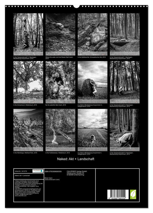 Naked: Akt + Landschaft (CALVENDO Premium Wandkalender 2027)