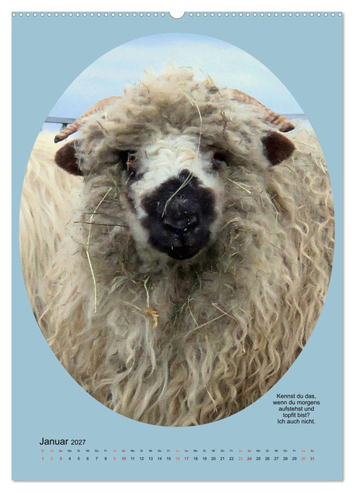Scharfe Portraits (CALVENDO Wandkalender 2027)
