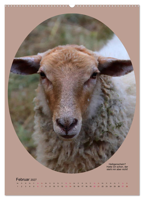 Scharfe Portraits (CALVENDO Wandkalender 2027)
