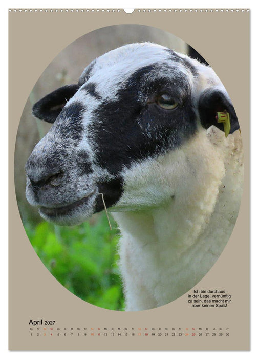 Scharfe Portraits (CALVENDO Wandkalender 2027)