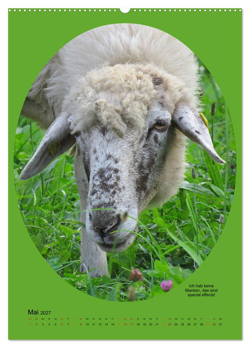 Scharfe Portraits (CALVENDO Wandkalender 2027)