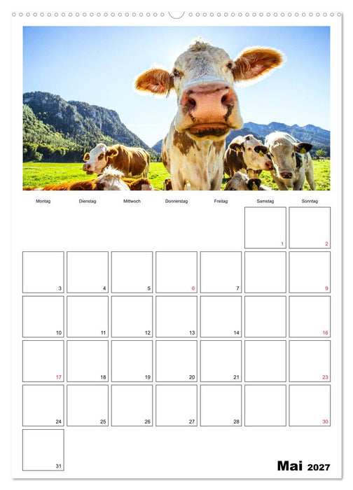 Bayerische Bergwelten (CALVENDO Wandkalender 2027)