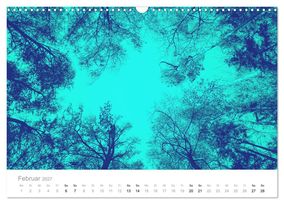 Farbrausch - die Welt in Pastell (CALVENDO Wandkalender 2027)
