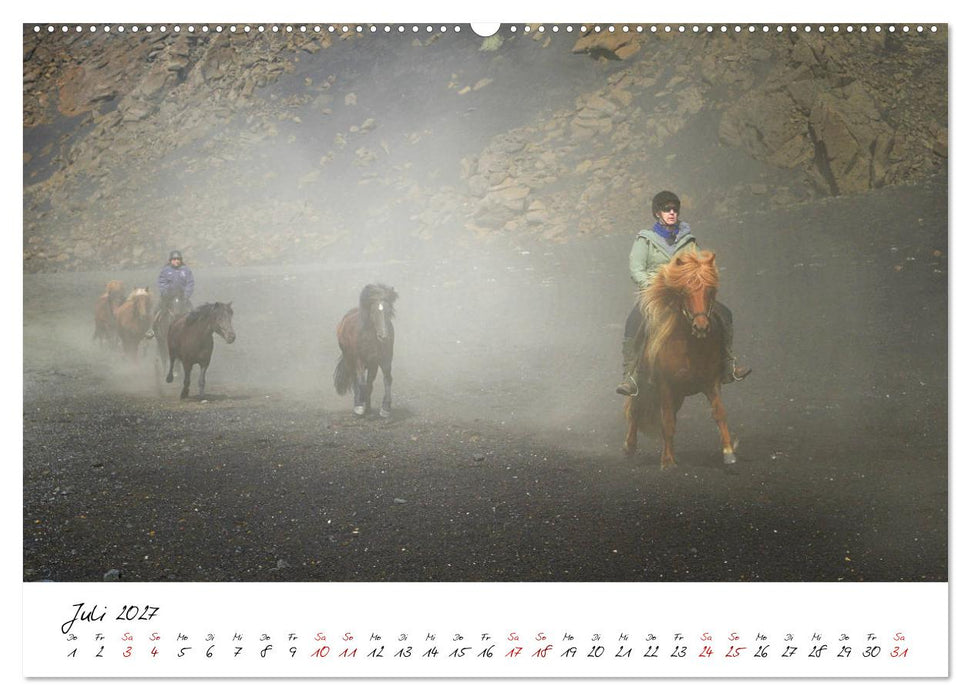 Islandpferde take it Isi (CALVENDO Premium Wandkalender 2027)