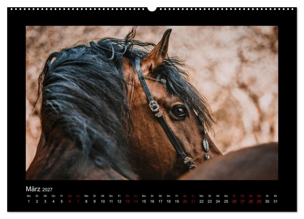 Die Faszinierende Welt der Pferde (CALVENDO Wandkalender 2027)
