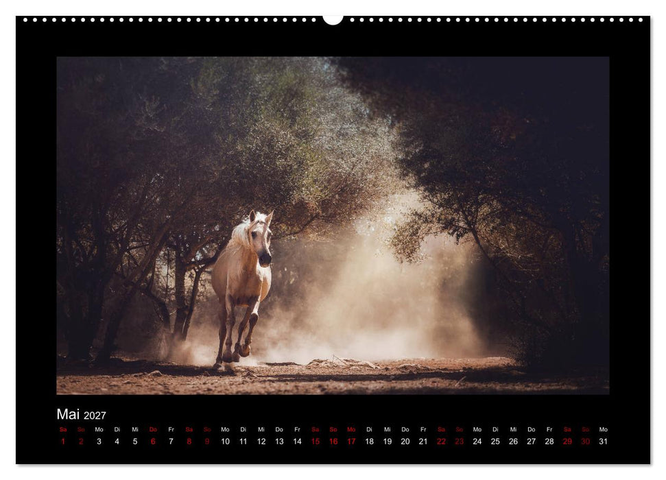 Die Faszinierende Welt der Pferde (CALVENDO Wandkalender 2027)