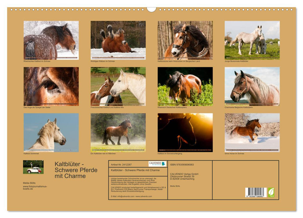 Kaltblüter - Schwere Pferde mit Charme (CALVENDO Wandkalender 2027)