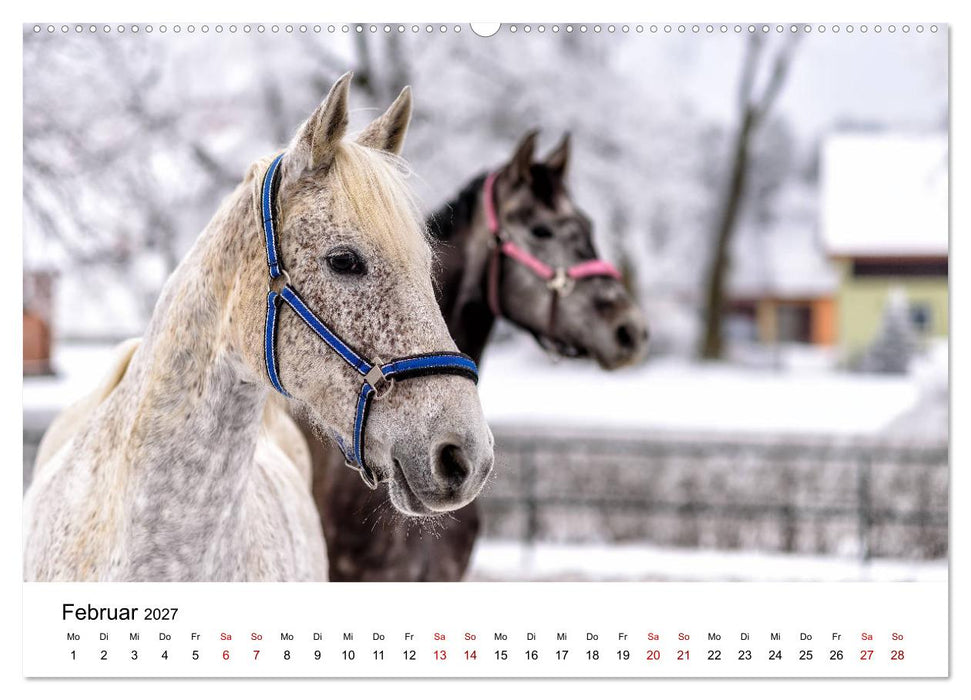 Masuren 2027 - Land der 1000 Seen (CALVENDO Premium Wandkalender 2027)