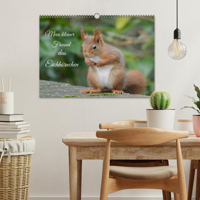 Mein kleiner Freund das Eichhörnchen (CALVENDO Wandkalender 2027)