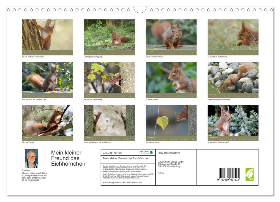 Mein kleiner Freund das Eichhörnchen (CALVENDO Wandkalender 2027)