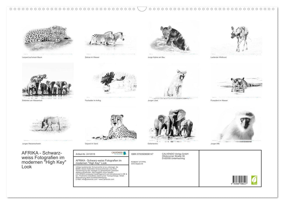 AFRIKA - Schwarz-weiss Fotografien im modernen "High Key" Look (CALVENDO Wandkalender 2027)