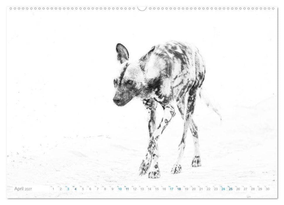 AFRIKA - Schwarz-weiss Fotografien im modernen "High Key" Look (CALVENDO Wandkalender 2027)