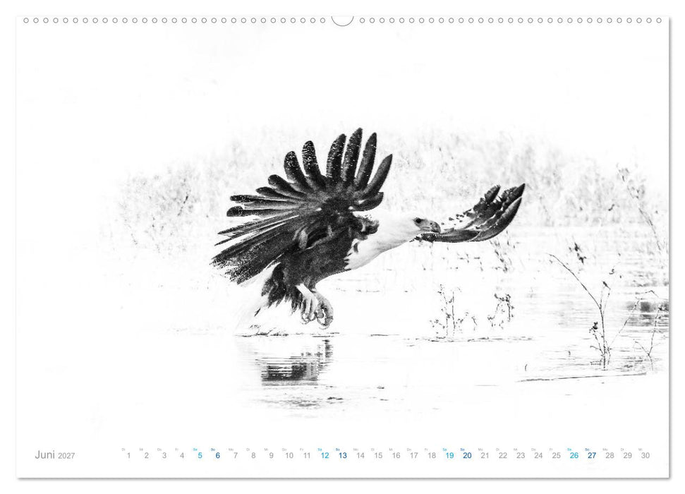 AFRIKA - Schwarz-weiss Fotografien im modernen "High Key" Look (CALVENDO Wandkalender 2027)